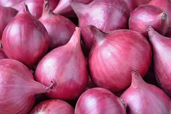 Onion Price Today: प्याज की कीमतों में बढ़ोतरी,90 रुपये प्रति किलो,